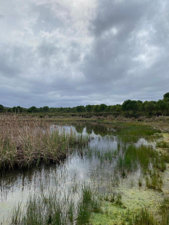 Herdade de Alagães Mértola Exterior foto